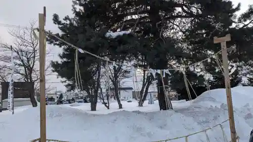 神居神社遥拝所のおみくじ