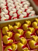 札幌諏訪神社(北海道)