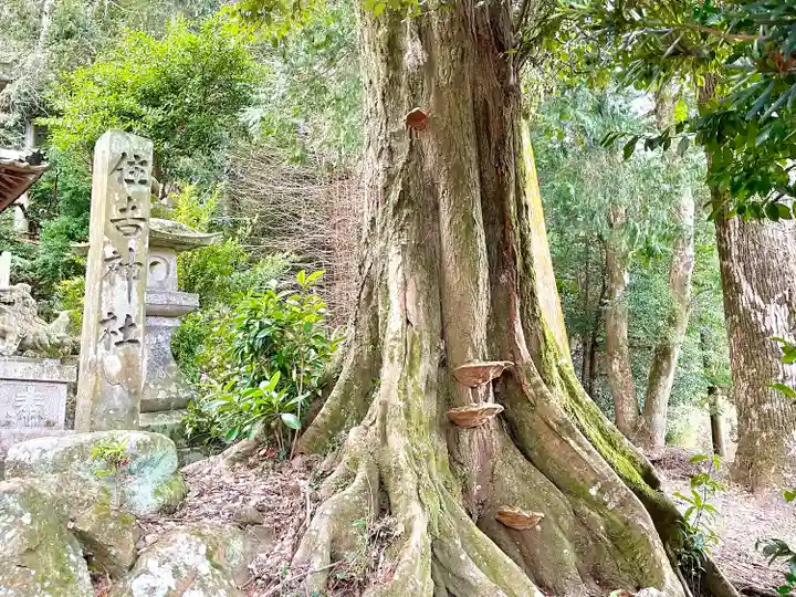 住吉神社(三重県)