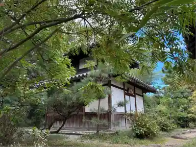 南宗寺(大阪府)