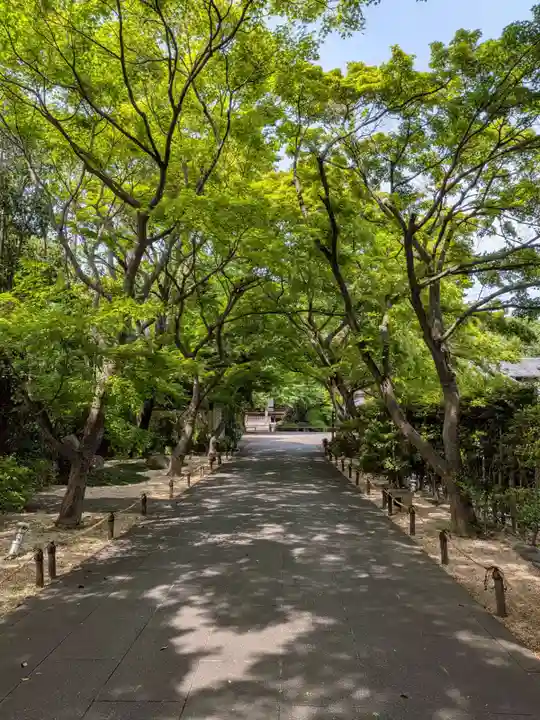 高円寺(東京都)