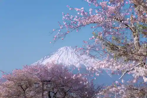 富士山本宮浅間大社の景色