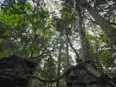 室生龍穴神社 天の岩戸(奈良県)