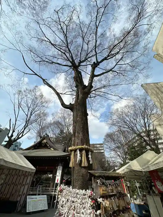 子安神社の自然