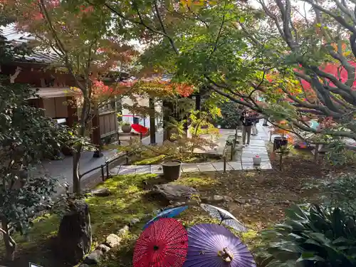 東福禅寺（東福寺）(京都府)