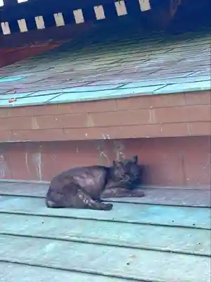 櫻山神社(岩手県)