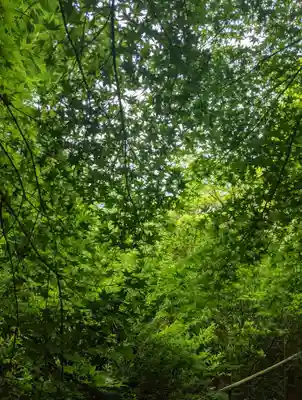 不退寺(奈良県)