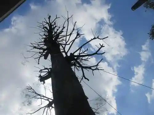 菅原神社(埼玉県)