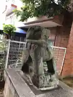 穏田神社の狛犬
