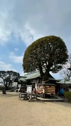 足利織姫神社のその他建物