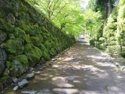 正伝護国禅寺(正伝寺･正傳寺)(京都府)