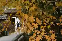 宇治上神社(京都府)