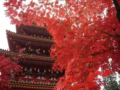 高幡不動尊 金剛寺の塔