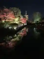 東寺（教王護国寺）の景色