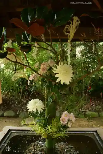 赤坂氷川神社(東京都)