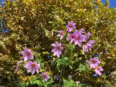 瀧泉寺（目黒不動尊）(東京都)