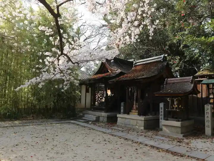 宗像神社の本殿・本堂