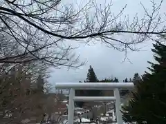 土津神社｜こどもと出世の神さまの建物その他