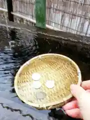 駒込妙義神社(東京都)