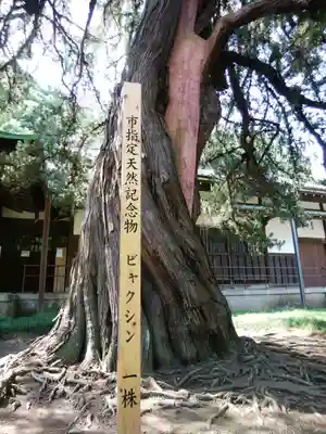 円覚寺(神奈川県)