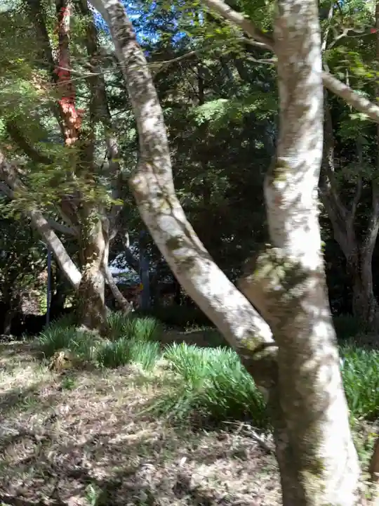 東昌寺(愛知県)