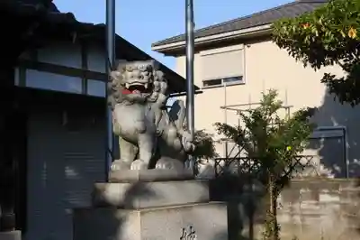 皇小津神社の狛犬