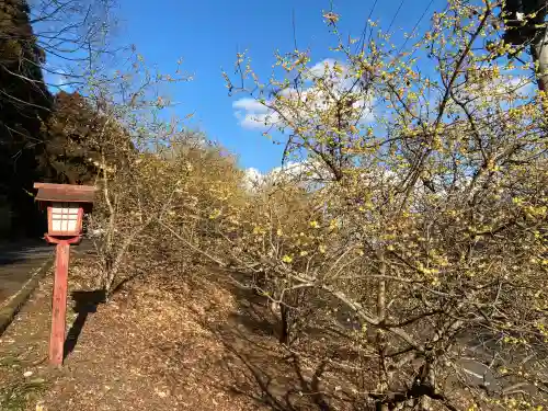 羽黒山神社(栃木県)