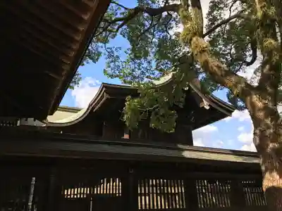 若松恵比須神社 の本殿・本堂