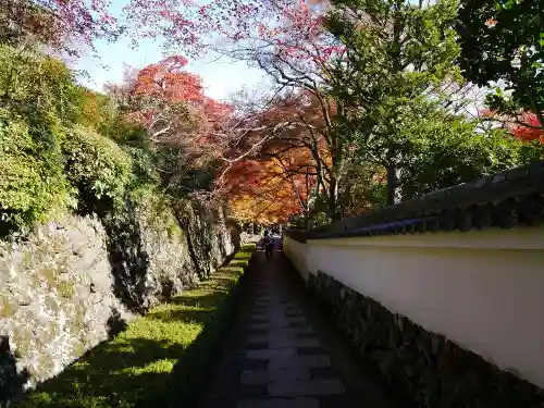 善峯寺の自然