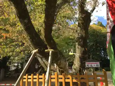 水戸八幡宮のその他建物