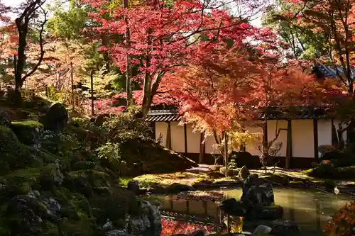 西明寺(滋賀県)