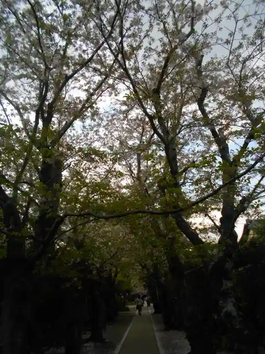 極楽寺(霊鷲山感應院極楽律寺)の自然