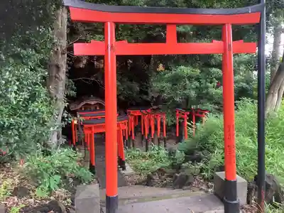 澤蔵司稲荷（慈眼院）(東京都)