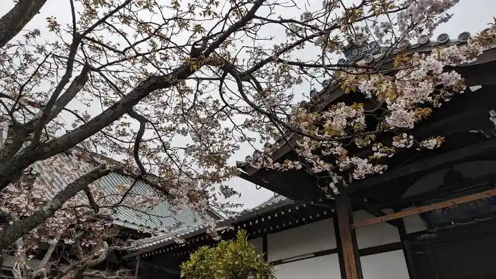 妙傳寺(京都府)