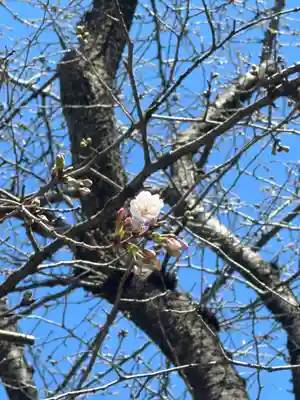 前原御嶽神社(千葉県)