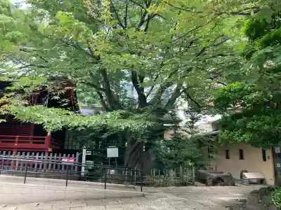 金王八幡宮の{uncategorized: "未分類", other: "その他", undefined: "問題あり", building: "その他建物", grave: "お墓", sacred_gate: "鳥居", guardian: "狛犬", statue: "像", buddha: "仏像", history: "歴史", nature: "自然", garden: "庭園", animal: "動物", pagoda: "塔", temizu: "手水舎", mountain_gate: "山門・神門", sanctuary: "本殿・本堂", subordinate: "末社・摂社", art: "芸術", scenery: "景色", jizo: "地蔵", ema: "絵馬", goshuin: "御朱印", omikuji: "おみくじ", items: "授与品その他", amulet: "お守り", goshuincho: "御朱印帳", eats: "食事", festival: "お祭り", votive_dance: "神楽", shichigosan: "七五三参", wedding: "結婚式", experience: "体験その他", initially: "初詣", around: "周辺", anti_infection: "感染症対策"}