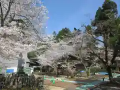 松尾寺(京都府)