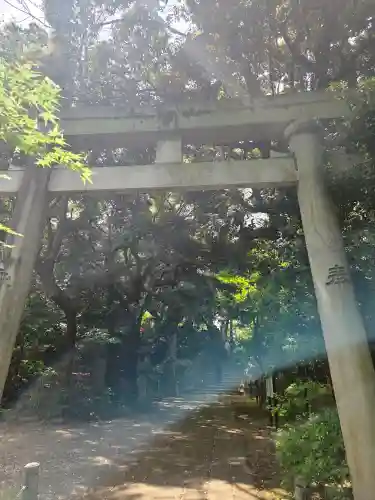 赤坂氷川神社の{uncategorized: "未分類", other: "その他", undefined: "問題あり", building: "その他建物", grave: "お墓", sacred_gate: "鳥居", guardian: "狛犬", statue: "像", buddha: "仏像", history: "歴史", nature: "自然", garden: "庭園", animal: "動物", pagoda: "塔", temizu: "手水舎", mountain_gate: "山門・神門", sanctuary: "本殿・本堂", subordinate: "末社・摂社", art: "芸術", scenery: "景色", jizo: "地蔵", ema: "絵馬", goshuin: "御朱印", omikuji: "おみくじ", items: "授与品その他", amulet: "お守り", goshuincho: "御朱印帳", eats: "食事", festival: "お祭り", votive_dance: "神楽", shichigosan: "七五三参", wedding: "結婚式", experience: "体験その他", initially: "初詣", around: "周辺", anti_infection: "感染症対策"}