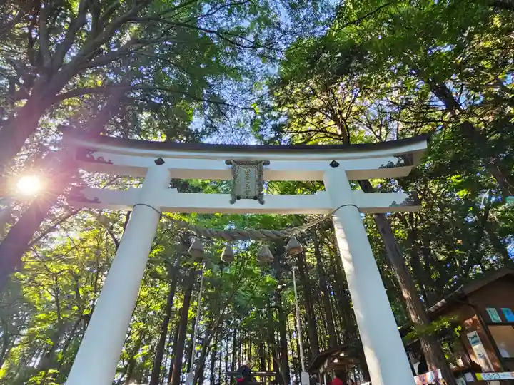 宝登山神社奥宮(埼玉県)