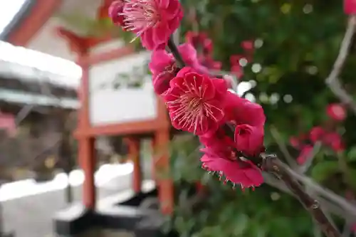 菅原天満宮（菅原神社）の自然