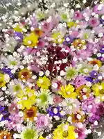 伊達神社の手水舎