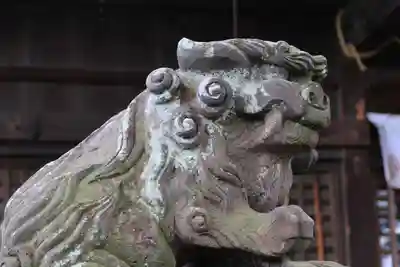 阿邪訶根神社の狛犬