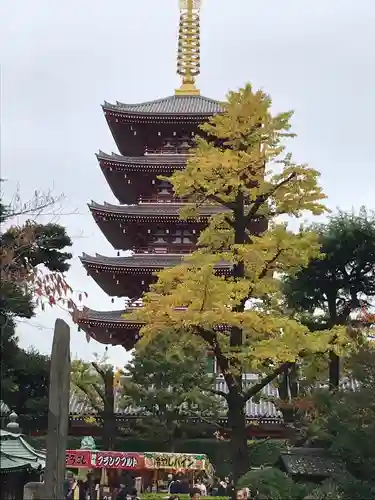 題経寺（柴又帝釈天）の塔