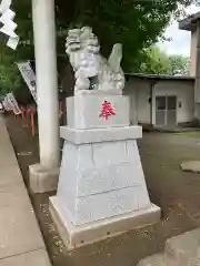 武蔵野神社の狛犬