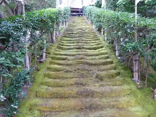 杉本寺(神奈川県)