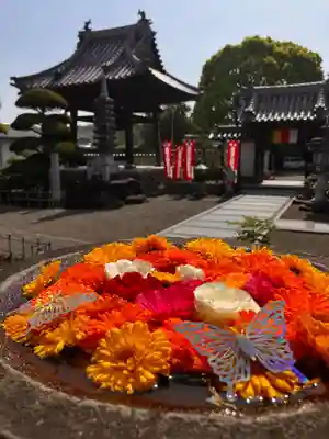 真言宗　善通寺派　薬王寺(香川県)