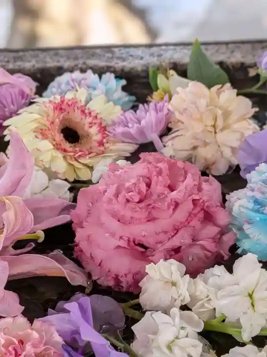 鳩森八幡神社(東京都)