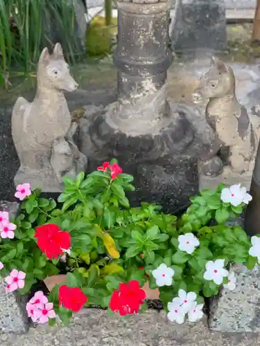 亀戸浅間神社の狛犬