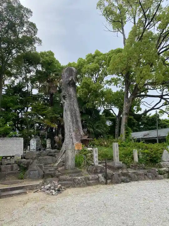 吉祥草寺(奈良県)