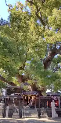 三島神社(大阪府)